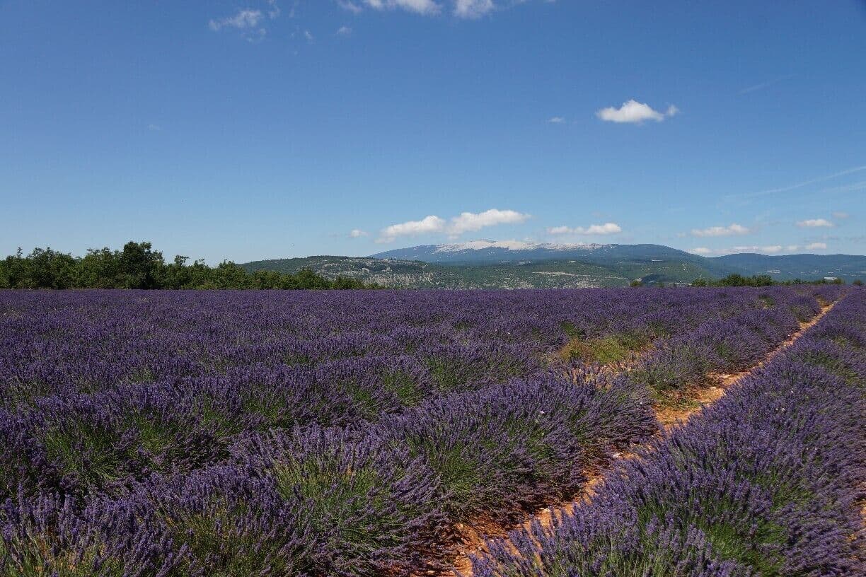 Vue de Apt - Massages et spas à Apt
