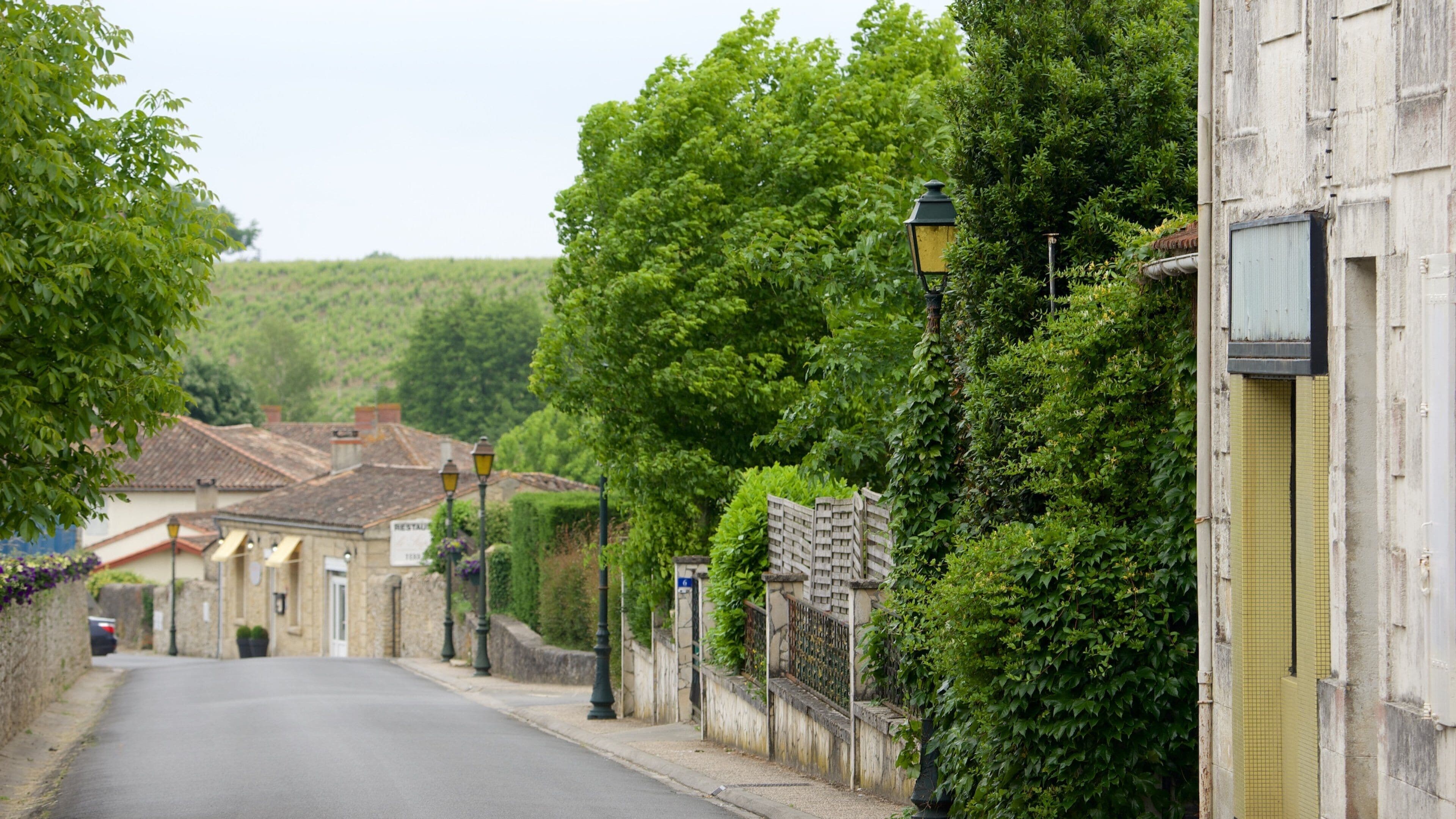 Massages et spas à Sauternes